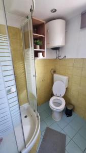 a bathroom with a shower and a toilet and a sink at Pool place in Petrovče