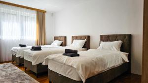 Gallery image of ljiljan Villa in Plandište +36 photos