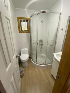 a bathroom with a shower and a toilet and a sink at cabañas Trancura 2 in Pucón