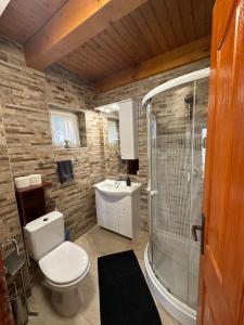 a bathroom with a toilet and a shower and a sink at Harmony & Wine Eger in Eger +93 photos