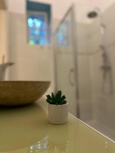 eine kleine Pflanze auf einem Tisch in einem Badezimmer in der Unterkunft Heritage Harmony with FREE PARKING in Budapest + 36 Fotos