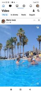 a photo of a swimming pool with palm trees at Residenza Casale San Francesco free parking in Tropea