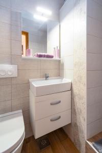 Koupelna v ubytování Apartments by the sea Jadranovo, Crikvenica - 16739