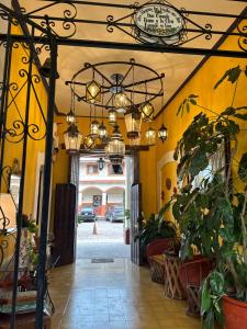 Fotografie z fotogalerie ubytování Copa de Oro Hotel Boutique v destinaci Mascota