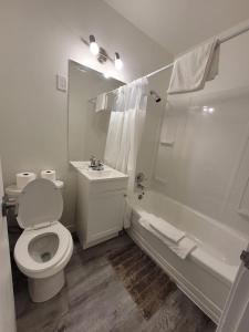 a bathroom with a toilet and a shower and a sink at Vivian Motor Hotel in Neepawa