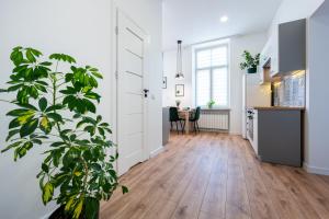 Η κουζίνα ή μικρή κουζίνα στο Green Apartment