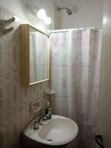 Un baño con lavabo y cortina de ducha. en Casa san Antonio de Areco, en San Antonio de Areco