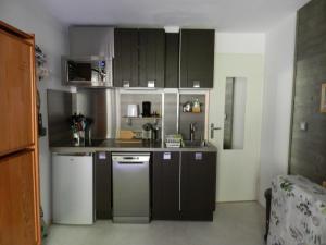 Η κουζίνα ή μικρή κουζίνα στο Studio 3 pers, face pistes, balcon, Le Pleynet - FR-1-557A-57