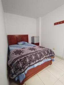 ein Schlafzimmer mit einem Bett in einem Zimmer in der Unterkunft Hospedaje Hipito in Nazca