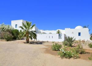 une maison blanche avec un palmier devant dans l'établissement Houch Dar Mami, à Midoun