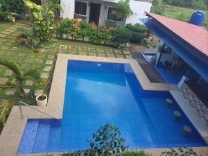 Πισίνα στο ή κοντά στο bohol noluwa guest house
