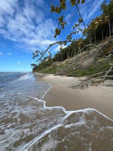 a beach with waves coming in from the ocean at Apartament Szept Morza in Debina