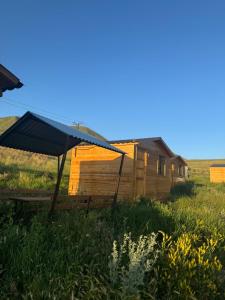 a house with a blue roof in a field at Eco Aura (RestZone) in Areguni
