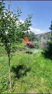 Φυσικό τοπίο κοντά σε αυτό το δωμάτιο σε οικογενειακή κατοικία