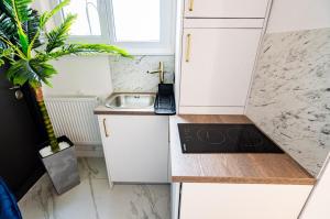 Kuchyň nebo kuchyňský kout v ubytování Royal - Luxury Apartment B - Old City - Victoriei