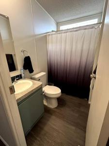 een badkamer met toilet, wastafel en douche bij Cute and cozy river house! in Bullhead City +13 foto's