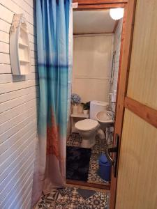 a bathroom with a toilet and a sink at Chata u tří borovic in Chvalatice +63 photos