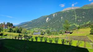 a green field with mountains in the background at Studio 47 in Ernen