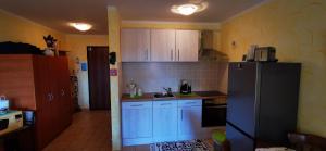 Studio Apartment Lela Ližnjanにあるキッチンまたは簡易キッチン
