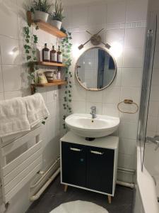 a bathroom with a sink and a mirror at Green Balcony Lille Hyper centre in Lille +19 photos