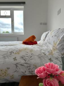 Un perro acostado en una cama en un dormitorio. en Shakespeare House 6 bedroom 10 beds stay up to 14 people, en Derby