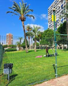 Imagen de la galería de Studio in Benidorm with sea view, en Benidorm