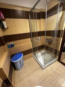 a bathroom with a shower and a trash can at Bia's Apartament in Mamaia Nord