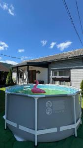 a pool with a pink flamingo in the middle at Welcom Verkhovyna in Verkhovyna