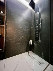 a shower with a glass door in a bathroom at Luxury Apartments in Creţuleasca