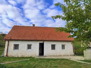 an old white building with a red roof at Stone house in Plužine