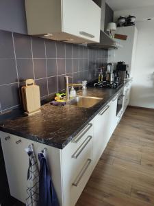 une cuisine avec un évier et un plan de travail dans l'établissement Mi casa su casa, à Schiedam 4 autres photos
