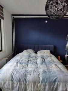 Ce lit se trouve dans une chambre dotée d'un mur bleu. dans l'établissement Mi casa su casa, à Schiedam