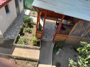 an overhead view of a patio with plants and a dog at Pensiunea Delia in Vadu