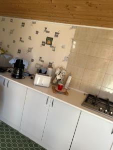 a kitchen with white cabinets and a counter top at Pensiunea Delia in Vadu +11 photos
