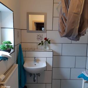 un baño con lavabo y espejo en Nordseeferienhaus Peter, en Niebüll