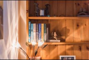 a book shelf with a bunch of books on it at Brook Cottage in Temple Ewell