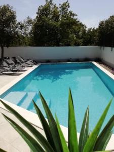 a blue swimming pool with chairs and a plant at Villa Martina Bellevue in Šmrika
