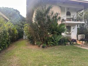 a house with a palm tree in front of a yard at Residence71Nadi Fiji in Nadi