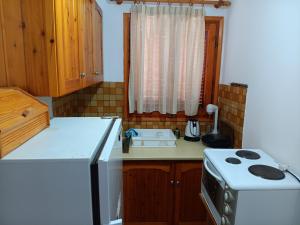 a small kitchen with a stove and a refrigerator at Foinikas Rooms in Erateini