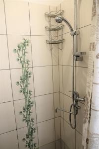 a bathroom with a shower with a plant on the wall at Cozy apartment in Jeruzalė in Vilnius