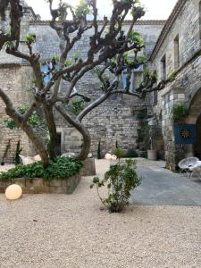Φωτογραφία από το άλμπουμ του Le Chateau de Blauzac σε Blauzac