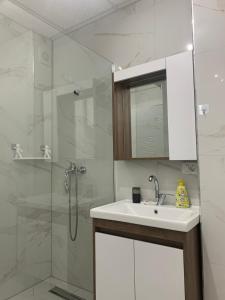 a bathroom with a white sink and a shower at E&M Apartman in Struga +10 photos