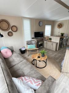 TV a/nebo společenská místnost v ubytování Chalet 2a op Recreatiepark De Wielen + 23 fotografií