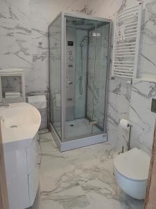 a bathroom with a shower and a toilet and a sink at Pokoje na plaży in Ustronie Morskie