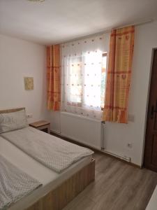 a bedroom with a bed and a window at Pensiunea Armonia in Băile Herculane
