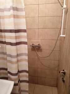 a shower with a hose in a bathroom at Pensiunea Armonia in Băile Herculane +11 photos
