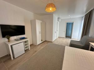 TV a/nebo společenská místnost v ubytování Halta Pescăruş Accommodation