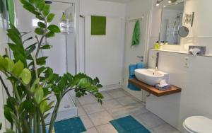a bathroom with a sink and a toilet and a shower at Schönes Ferienhaus mit Garten in Friedrichshafen am Bodensee in Friedrichshafen
