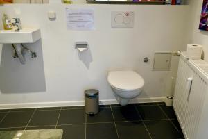 a bathroom with a toilet and a sink at Privates & ruhiges Maisonette - Loft in Pulheim in Pulheim +8 photos