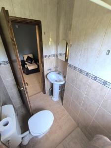 ストモレにあるViolit Apartments&Restaurantのトイレと洗面台付きのバスルーム